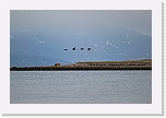 varanger _2010_1093 * 1350 x 899 * (781KB)